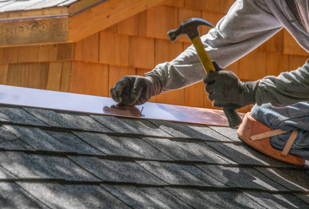 Best Gutter Installation and Repair  in Park River, ND