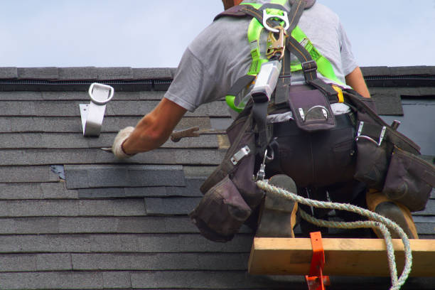 Best Roof Moss and Algae Removal  in Park River, ND