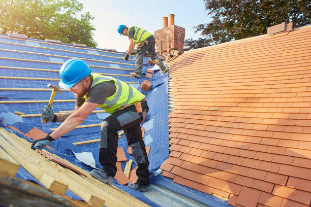Best Green or Eco-Friendly Roofing Solutions  in Park River, ND
